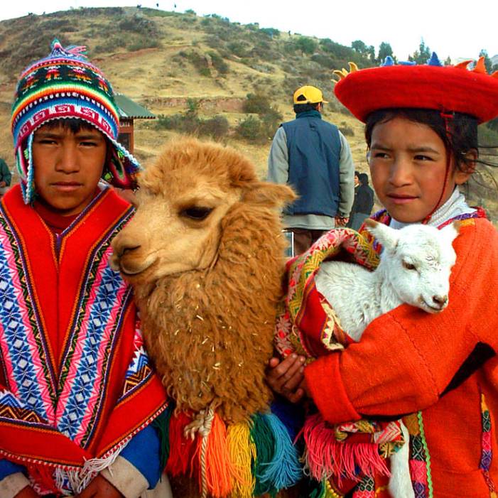 Alpacas with Children in Peru Alpaca Clothing Pacalpa