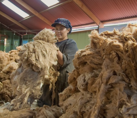 Alpaca Sustainable Materials Pacalpa Alpaca Sustainable Materials Pacalpa