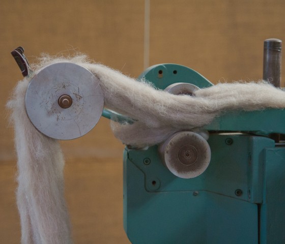 Alpaca Sustainable Production Pacalpa Alpaca Sustainable Production Pacalpa